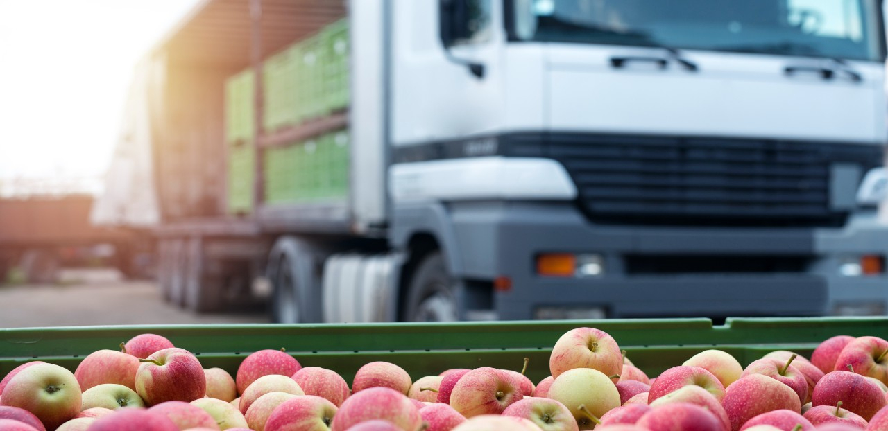 transporte de alimentos